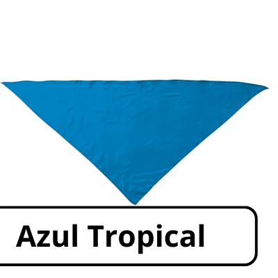 Pañuelo de peña Fiesta sin personalizar - Imagen 14